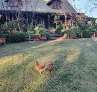 Angaston by the Winter Creek - Great Ocean Road Tourism