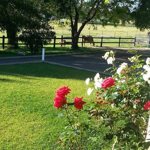 Appin Homestay B & B - Great Ocean Road Tourism 3