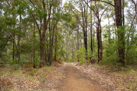 Ashleigh - Great Ocean Road Tourism 2