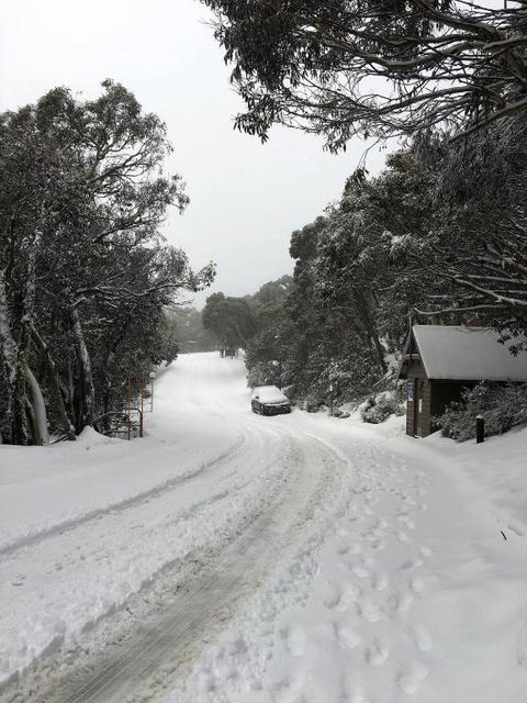 MAGNIFICENT SKIING ON MOUNT BULLER - Great Ocean Road Tourism 3