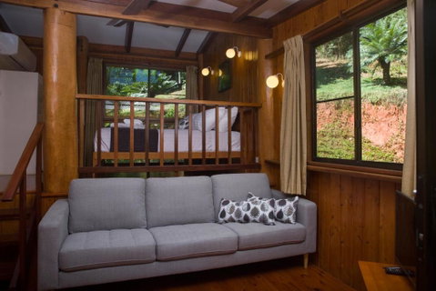 Milkwood Lodge - Great Ocean Road Tourism 1