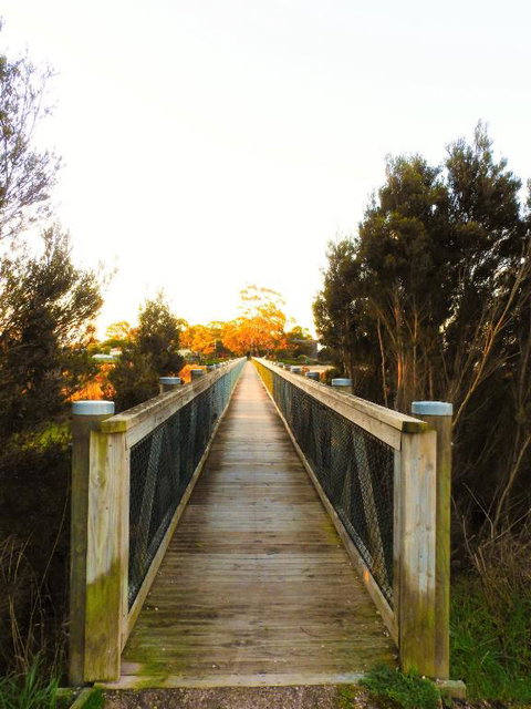 Moomba Holiday And Caravan Park - Great Ocean Road Tourism 3