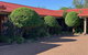 Muswellbrook Motor Inn - thumb 3
