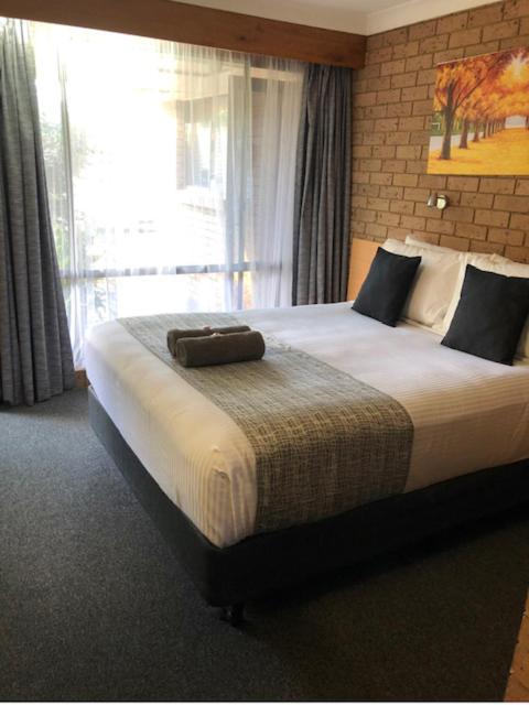 Muswellbrook Motor Inn - Great Ocean Road Tourism 2
