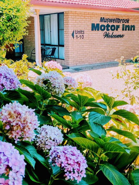 Muswellbrook Motor Inn - Great Ocean Road Tourism 0