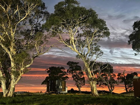 Myrtle At Lexington Park - Great Ocean Road Tourism 3