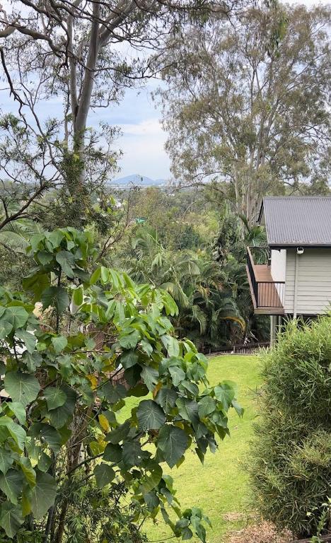 New - Our Treehouse Near Alex Beach - Great Ocean Road Tourism 2