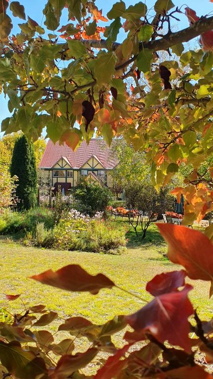 Oaktree Guest House - Great Ocean Road Tourism 0