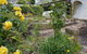 Old Colony Inn - thumb 1