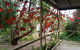 Padthaway Caravan Park - thumb 1
