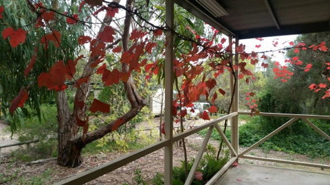 Padthaway Caravan Park - Great Ocean Road Tourism 1