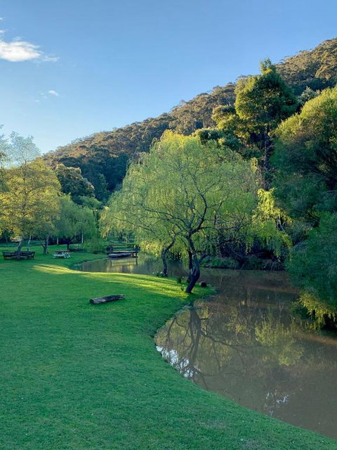 Pennyroyal Otways Retreat - Great Ocean Road Tourism 3