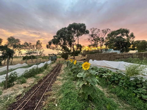 Penobscot Farm Cottage - Great Ocean Road Tourism 2