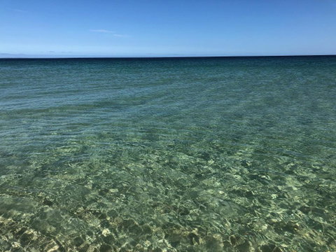 Peppermint Grove Beach Holiday Park - Great Ocean Road Tourism 3