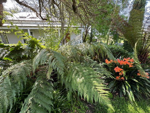 Petschel House - Great Ocean Road Tourism 3