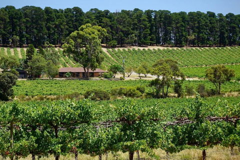 Picturesque Vineyard Farmhouse Nestled On 40-Acres - Great Ocean Road Tourism 0