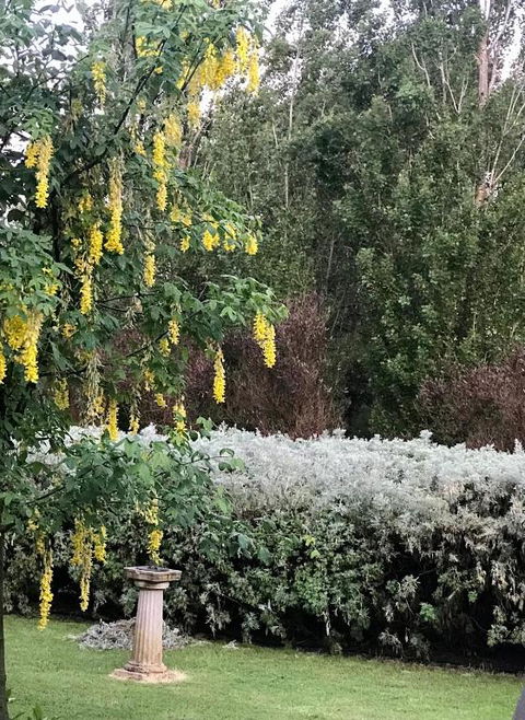 Pierrepoint Accommodation - Great Ocean Road Tourism 1