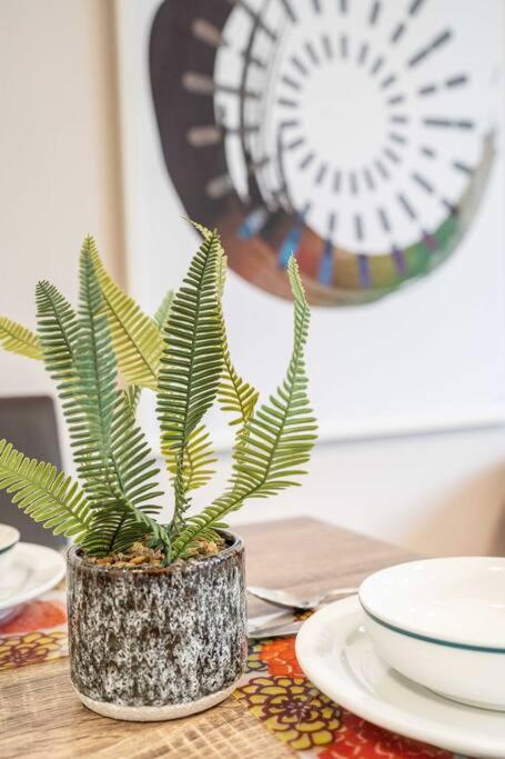 Quaint Auchenflower 1B1B Apt W Parking Close To UQ - Great Ocean Road Tourism 2