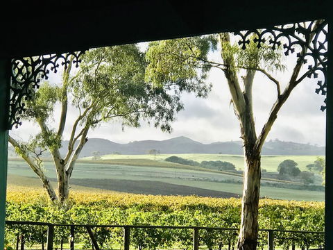 Azalea Cedar-Rose Barossa Valley Villa - Great Ocean Road Tourism 1