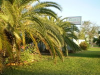 Book Winton Accommodation Vacations Great Ocean Road Tourism Great Ocean Road Tourism