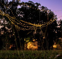 Banyan Tree - Great Ocean Road Tourism