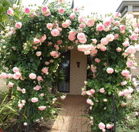 Baudins of Busselton Bed and Breakfast - Great Ocean Road Tourism