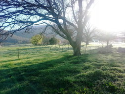 Book Mongans Bridge Accommodation Great Ocean Road Tourism Great Ocean Road Tourism