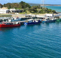 Beach Haven Caravan Park - Great Ocean Road Tourism
