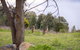 Reflections Lake Burrendong - Holiday Park - thumb 1