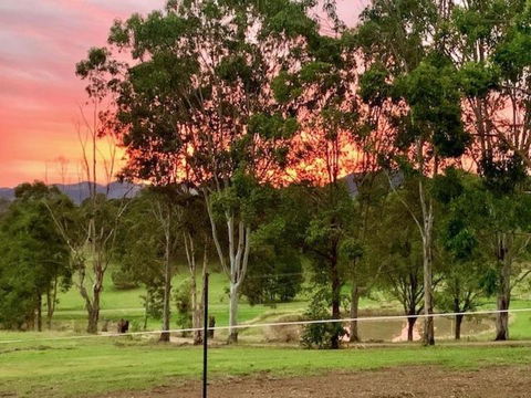 Rosehill Cottage And Bush Retreat - Great Ocean Road Tourism 2