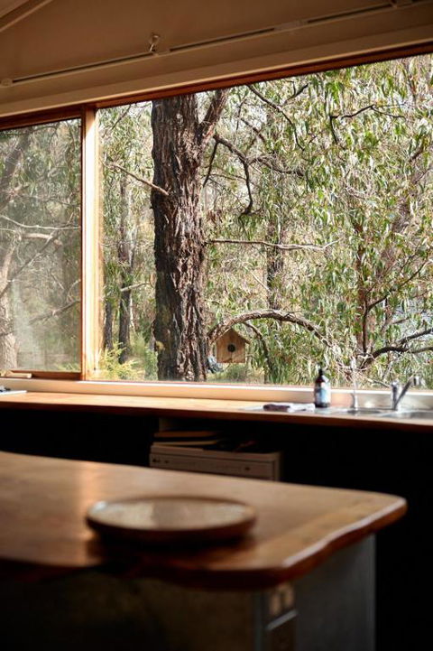 Rustic Treehouse - Aireys Inlet - Great Ocean Road Tourism 1