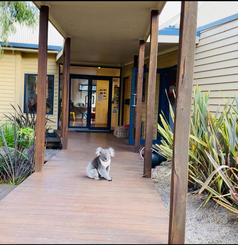 Sandpiper Motel Apollo Bay - Great Ocean Road Tourism 3