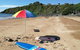 Sandpiper Motel - thumb 3