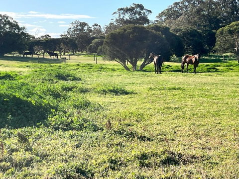 Secluded Rural Retreat In Southwest WA - Great Ocean Road Tourism 3