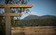 Shibui Lilydale Luxury Romance - thumb 3