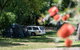 Belair National Park Holiday Park - thumb 0