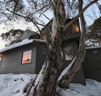 Belltrees - Great Ocean Road Tourism