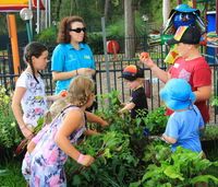 Book Lemon Tree Passage Accommodation Vacations Great Ocean Road Tourism Great Ocean Road Tourism