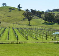 Blue House at Mountainside Wines - Great Ocean Road Tourism