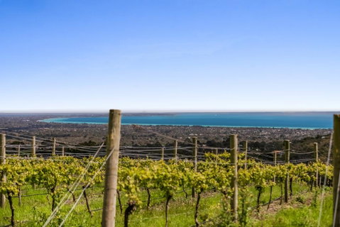 Blue Range Estate Villas - Great Ocean Road Tourism 3