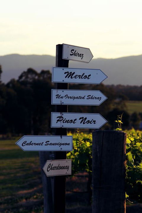 Blueberry Hill Vineyard Villa - Great Ocean Road Tourism 3