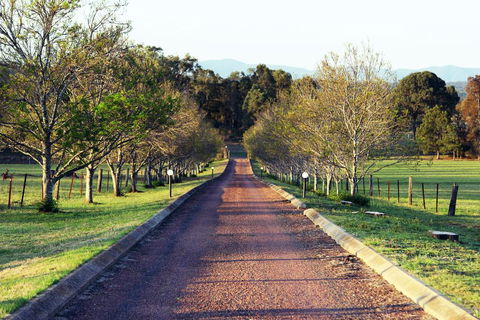 Blueberry Hill Vineyard Villa - Great Ocean Road Tourism 0