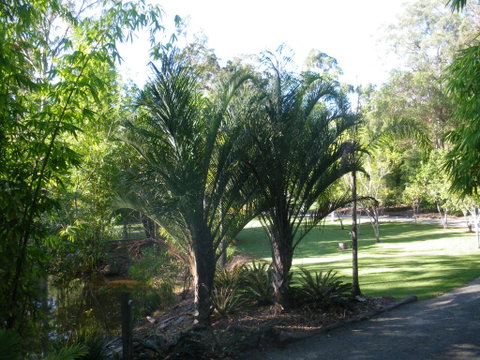 BoBRENE On Tamborine Nude Retreat - Quaint Cottage - Great Ocean Road Tourism 2