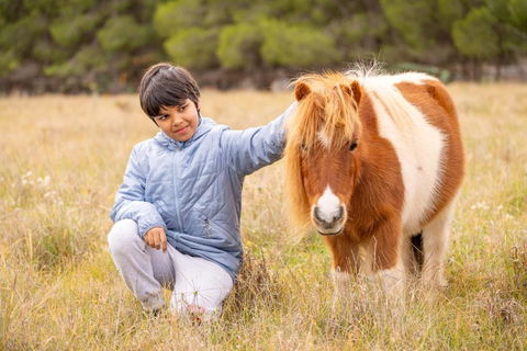 The Little Grove Retreat By Tiny Away - Great Ocean Road Tourism 3