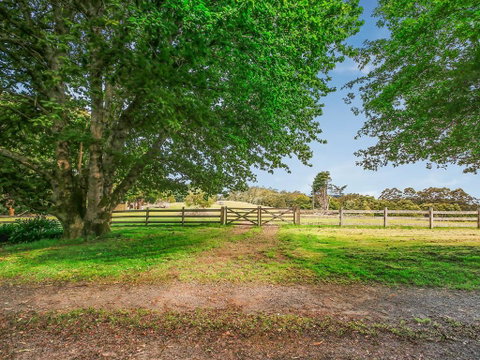 The Source, Otways - Great Ocean Road Tourism 3
