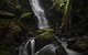 The Source, Otways - thumb 0