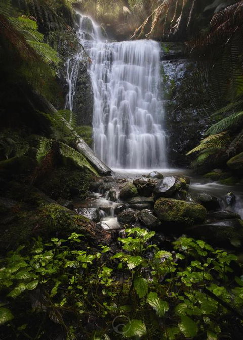 The Source, Otways - Great Ocean Road Tourism 2