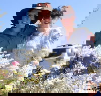 Spring Wildflower Private Day Tours - Great Ocean Road Tourism