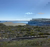 Penguin Island And Fremantle - Canoe Chocolate  Coffee - Great Ocean Road Tourism