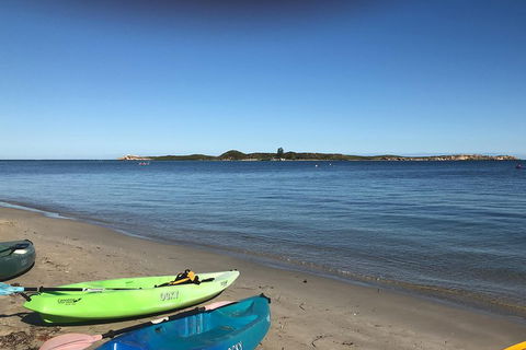 Penguin Island And Fremantle - Canoe, Chocolate & Coffee - Great Ocean Road Tourism 2